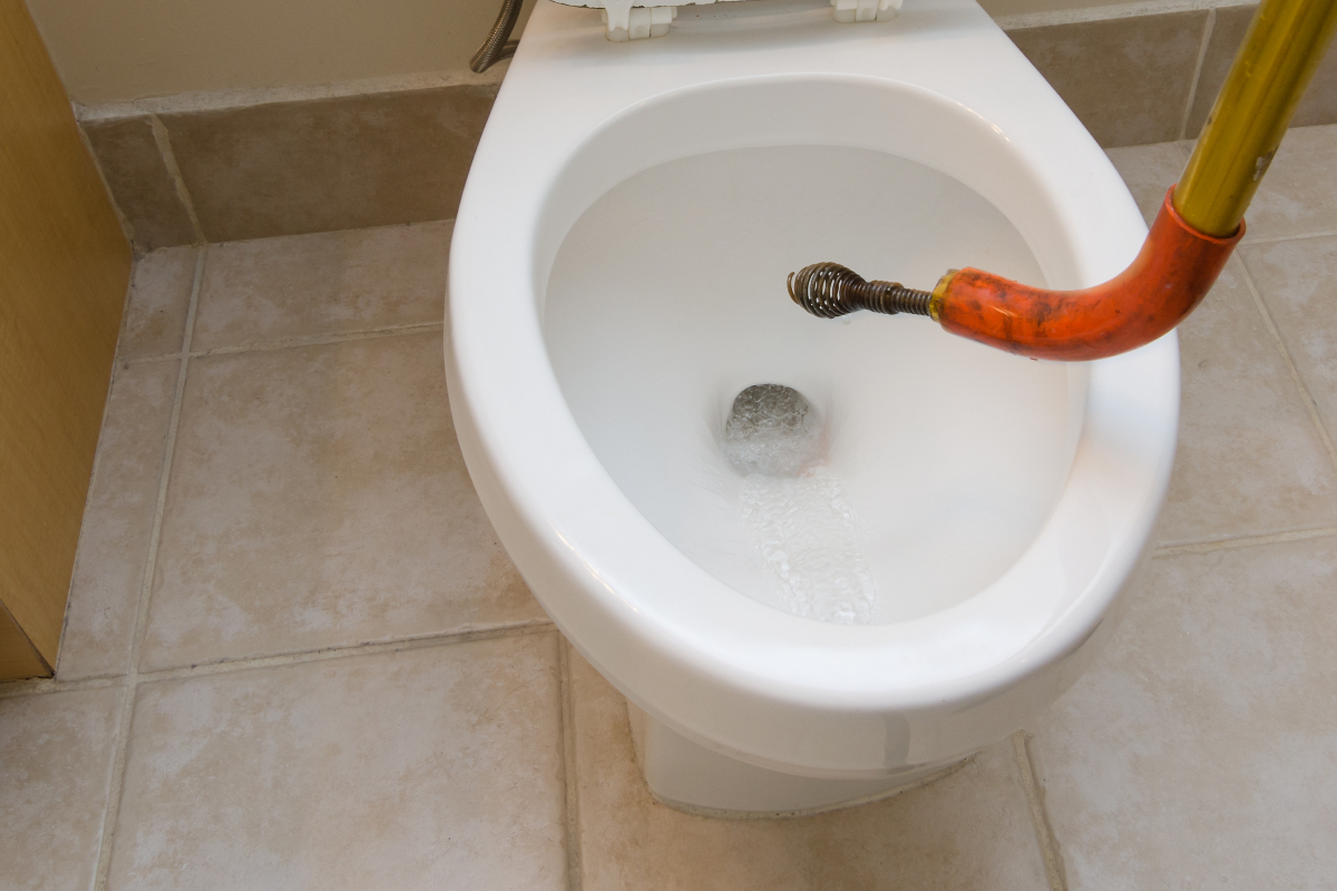 Toilet Clog